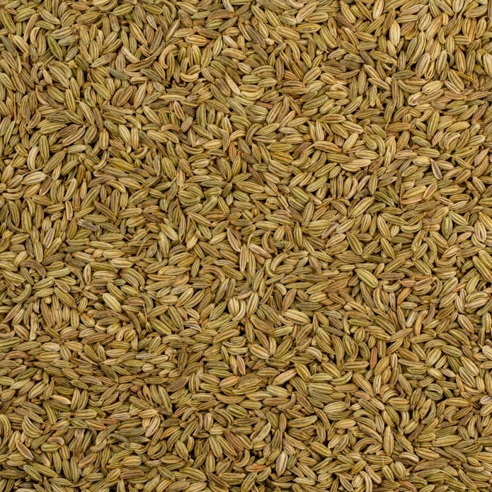 شومر حب بزورية 2