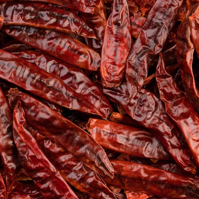 شطة قرون بزورية 2