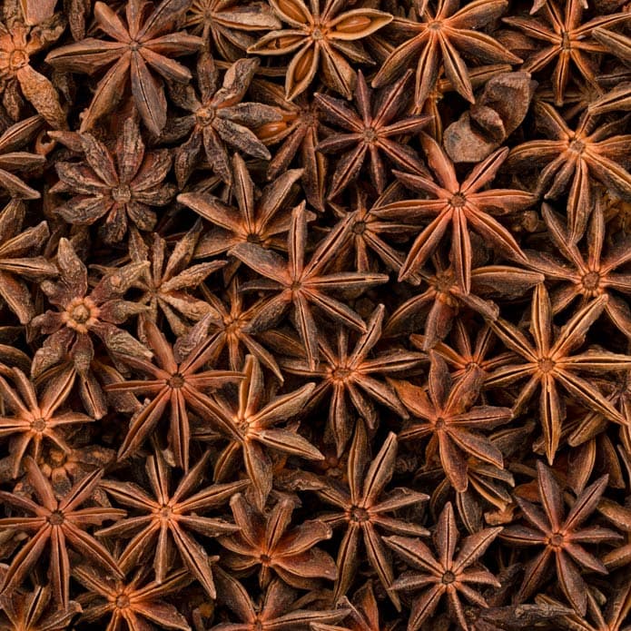 نجمة يانسون بزورية 2