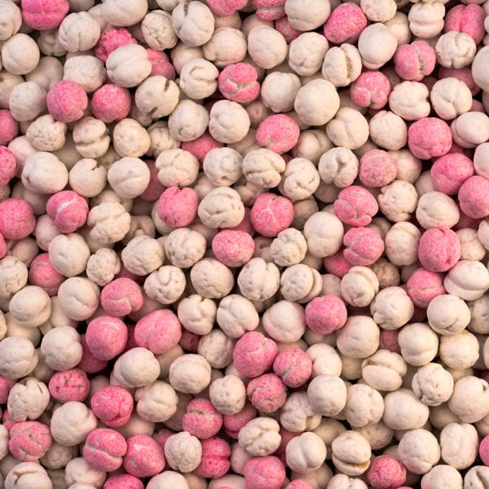 Bzuriyeh Sugar Coated Chickpeas 2