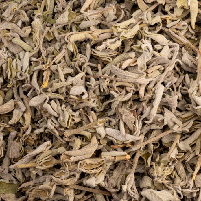 Bzuriyeh Sage 2