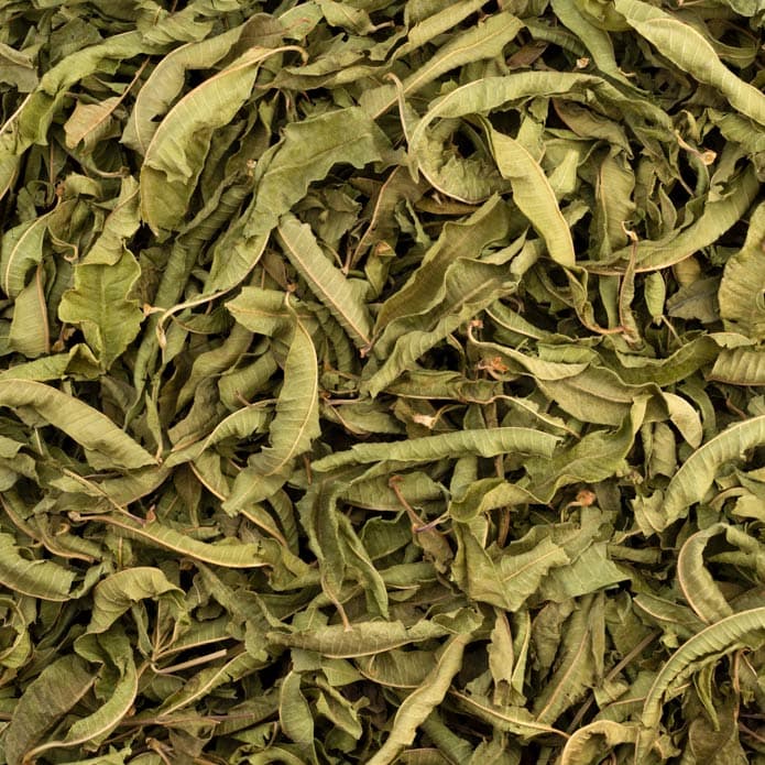 Bzuriyeh Lemon Verbena 2