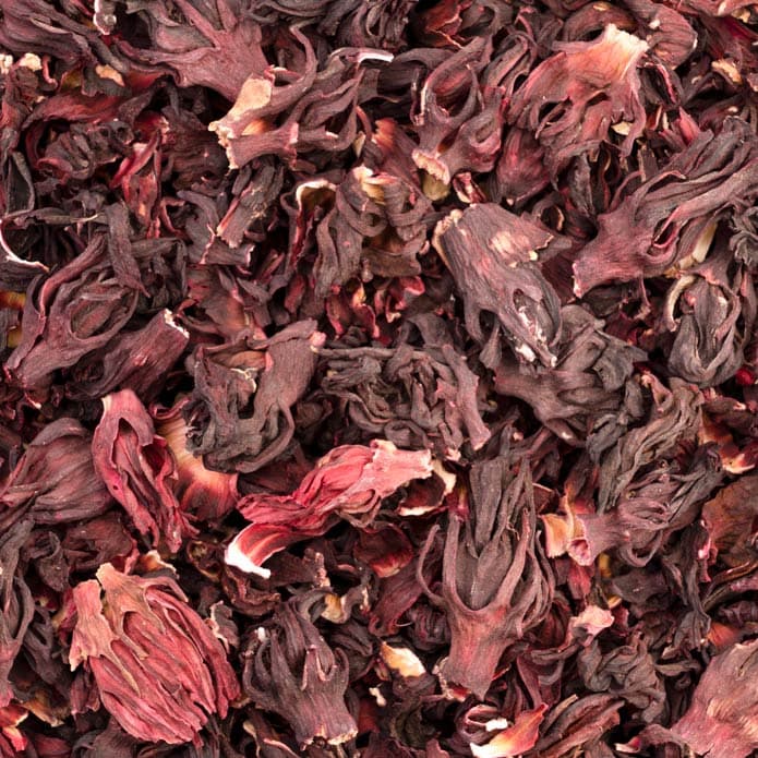 Bzuriyeh Hibiscus 2