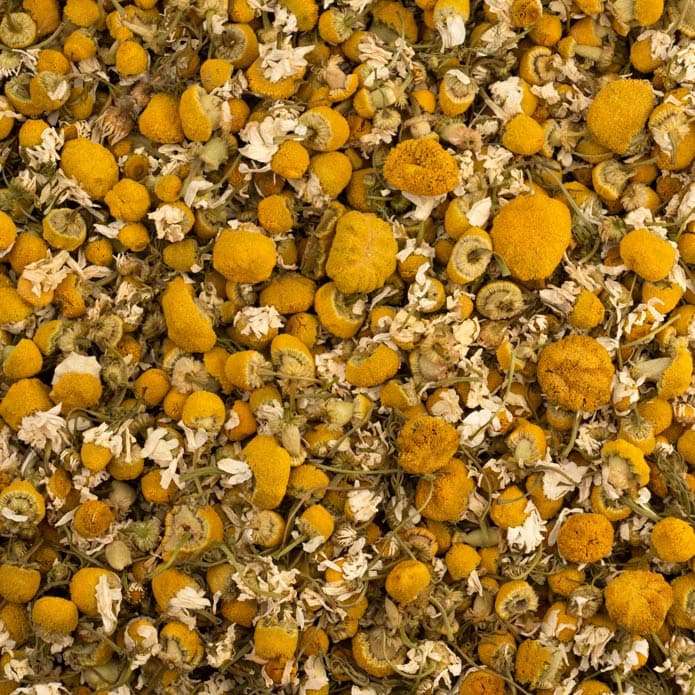 بابونج بزورية 2