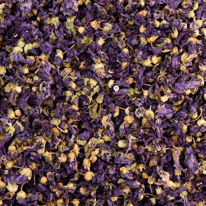 بنفسج بزورية 2