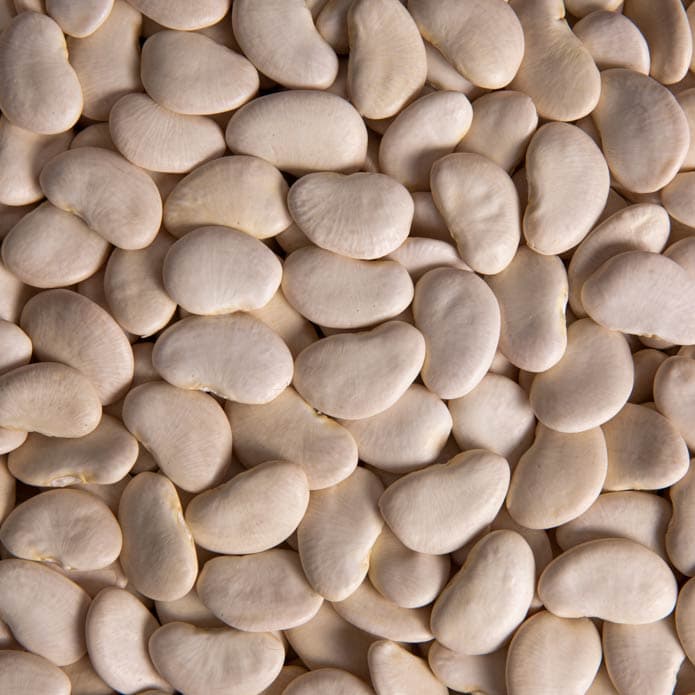 Bzuriyeh Large Beans 2