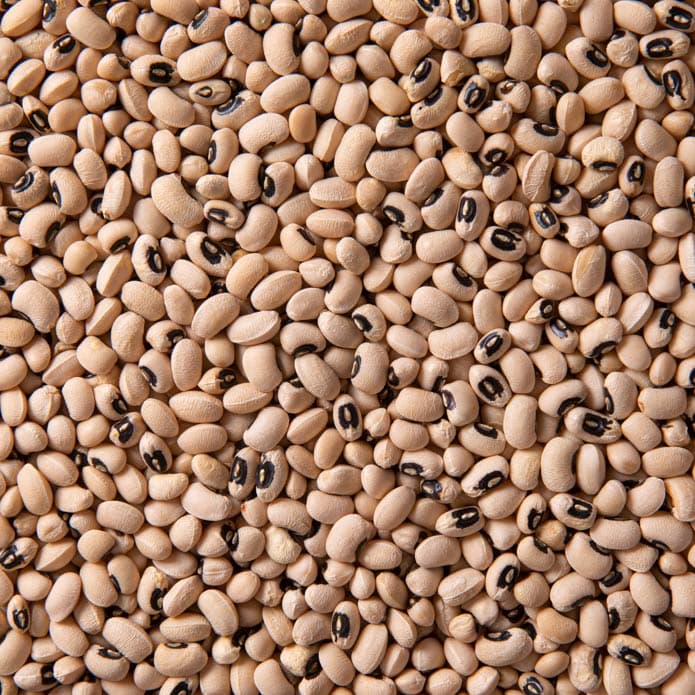 Bzuriyeh Black Eyed Pea 2