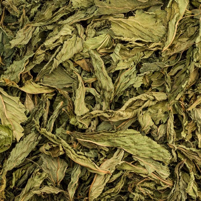 Bzuriyeh Corchorus Leaves 2