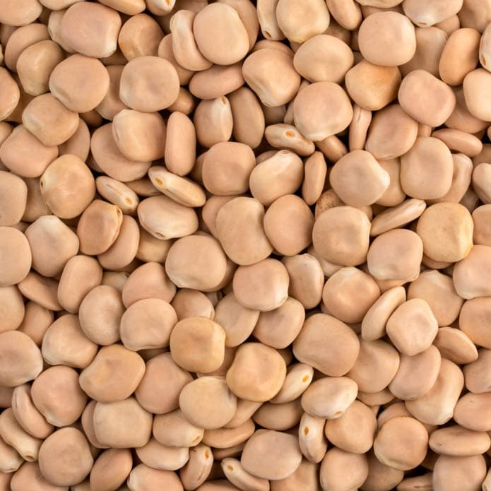Bzuriyeh Bitter Lupin 2