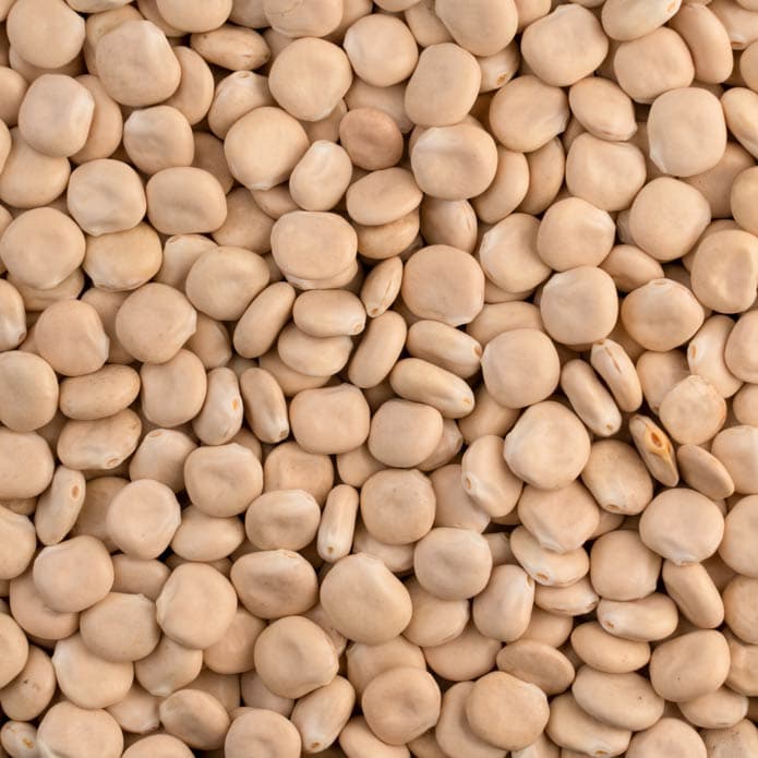 Bzuriyeh Lupin 2