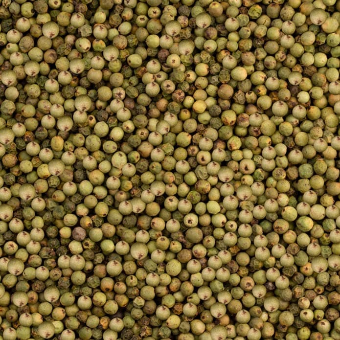 فلفل أخضر حب بزورية 2