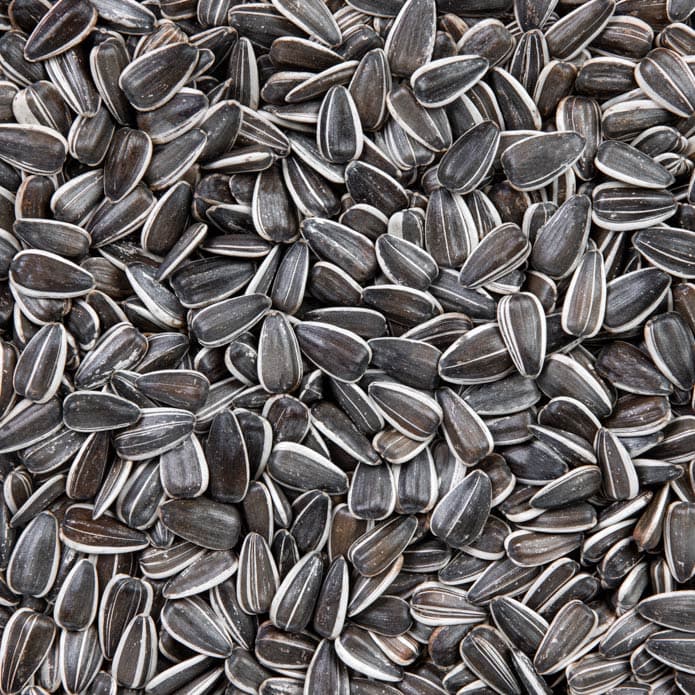 Bzuriyeh Sunflower Seeds 2