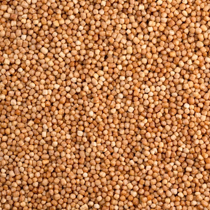 Bzuriyeh Maftoul 2