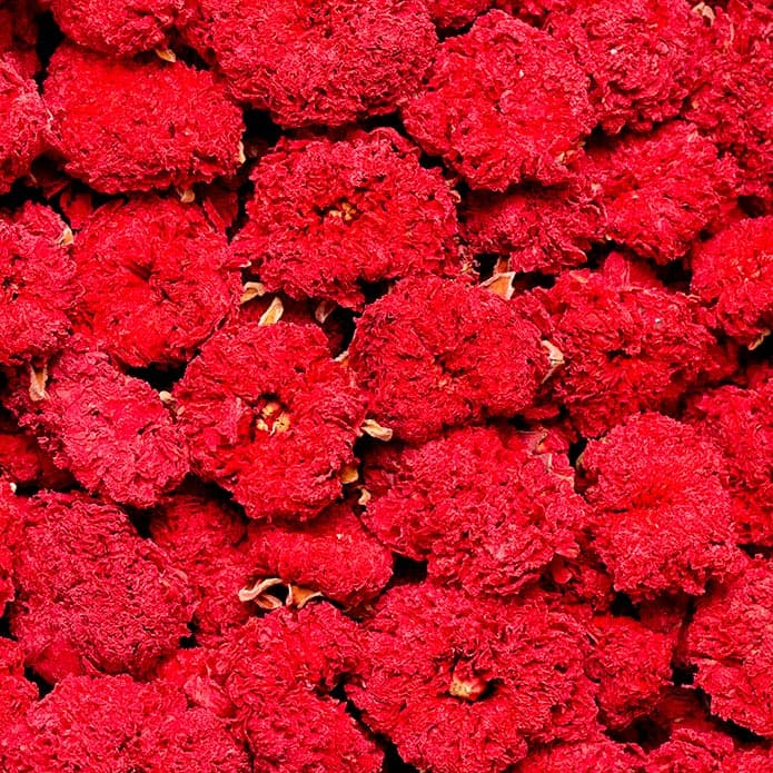 Bzuriyeh Pomegranate Flower 2