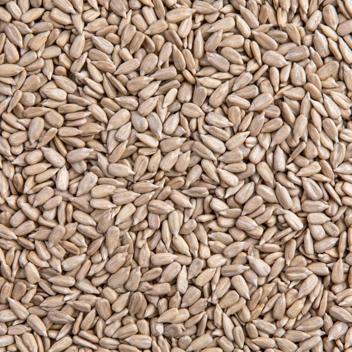 Bzuriyeh Sunflower Seeds Core 2