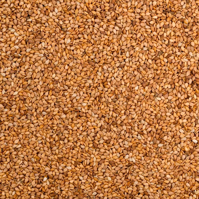 سمسم ني بزورية 2