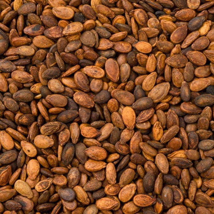 Bzuriyeh Afaghan Seeds 2
