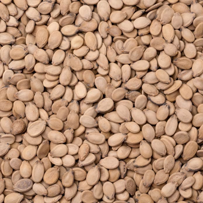 Bzuriyeh Daffeh Steamed Seeds 2