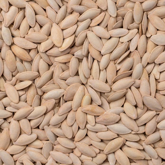 Bzuriyeh Zucchini Seeds 2