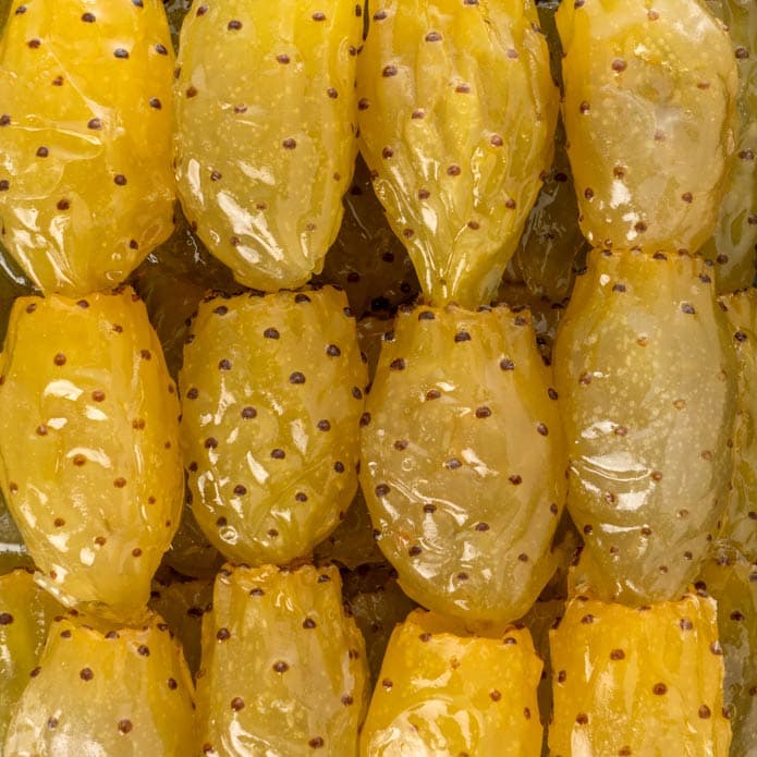 Bzuriyeh Sweetened Cactus 2