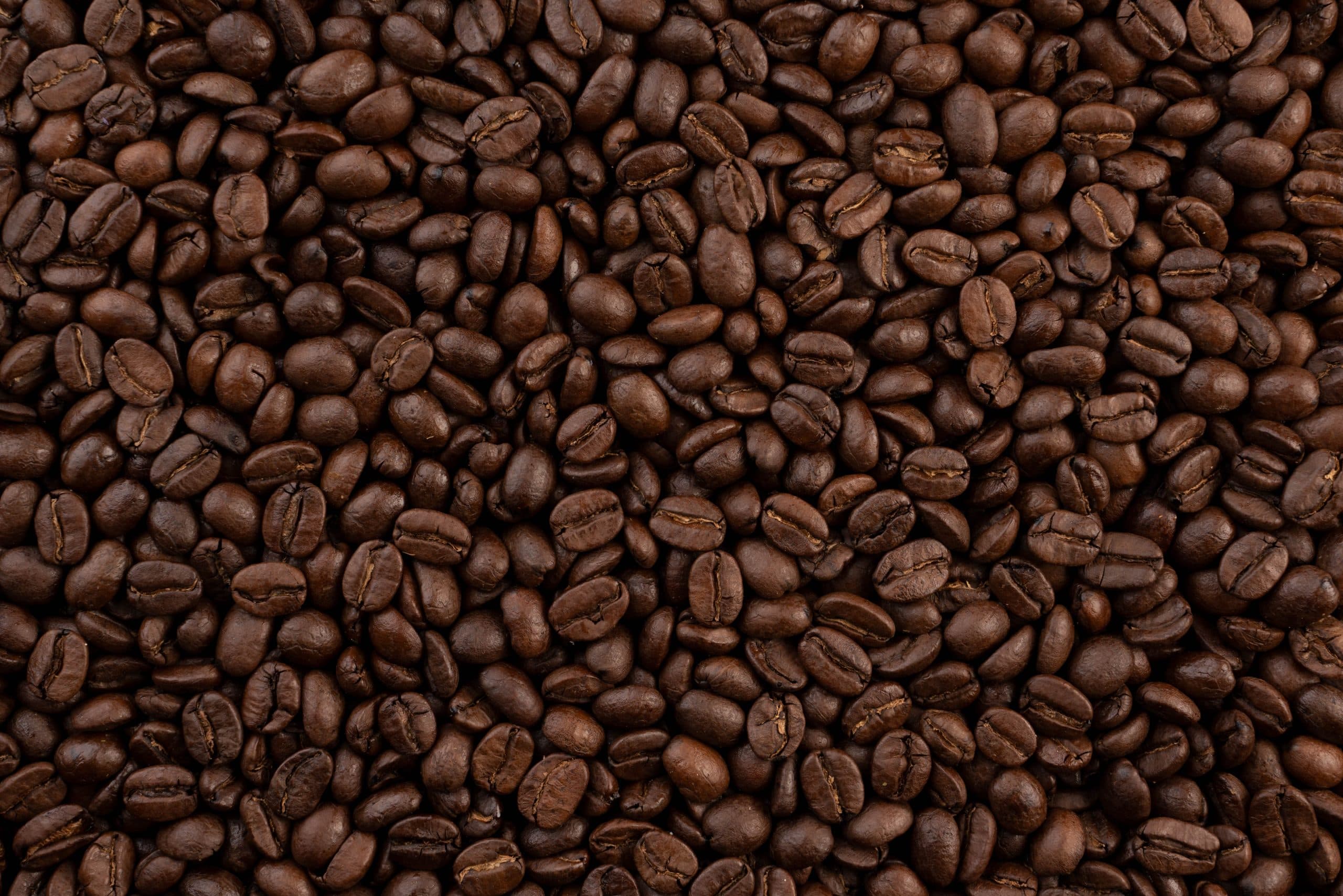Bzuriyeh Premium Coffee