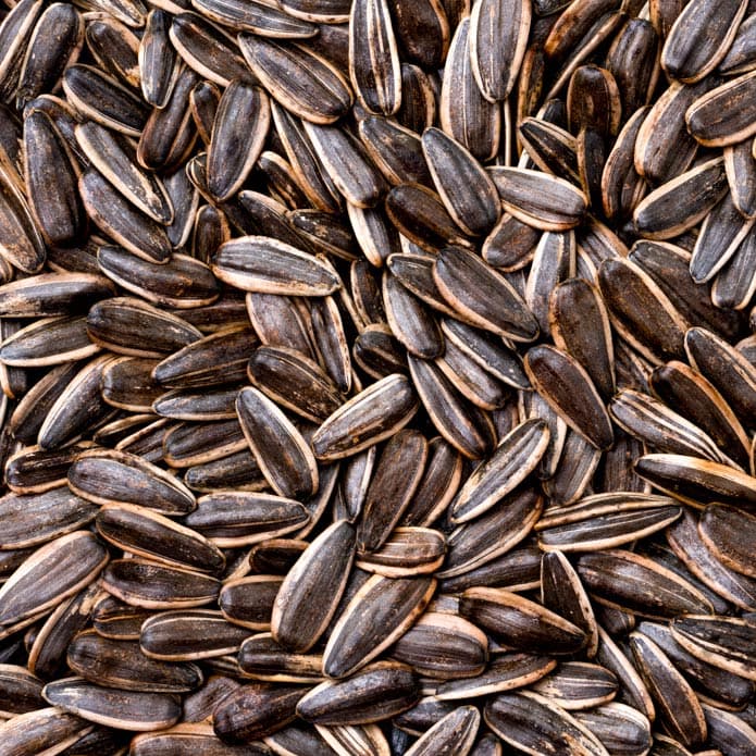 Bzuriyeh Sunflower Seeds 2