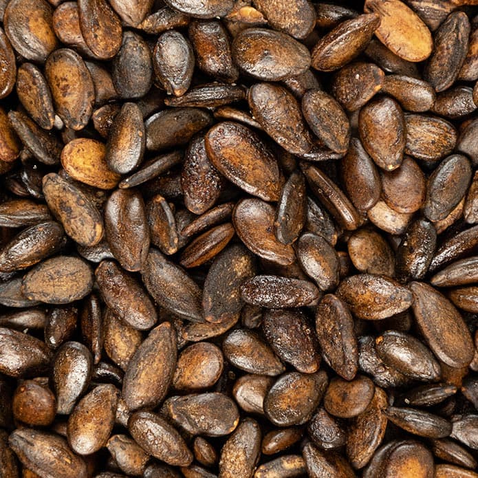 بزر أسود بزورية 2