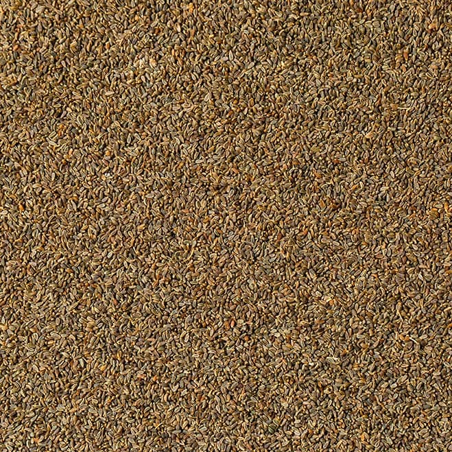 بزر خلة بزورية 2