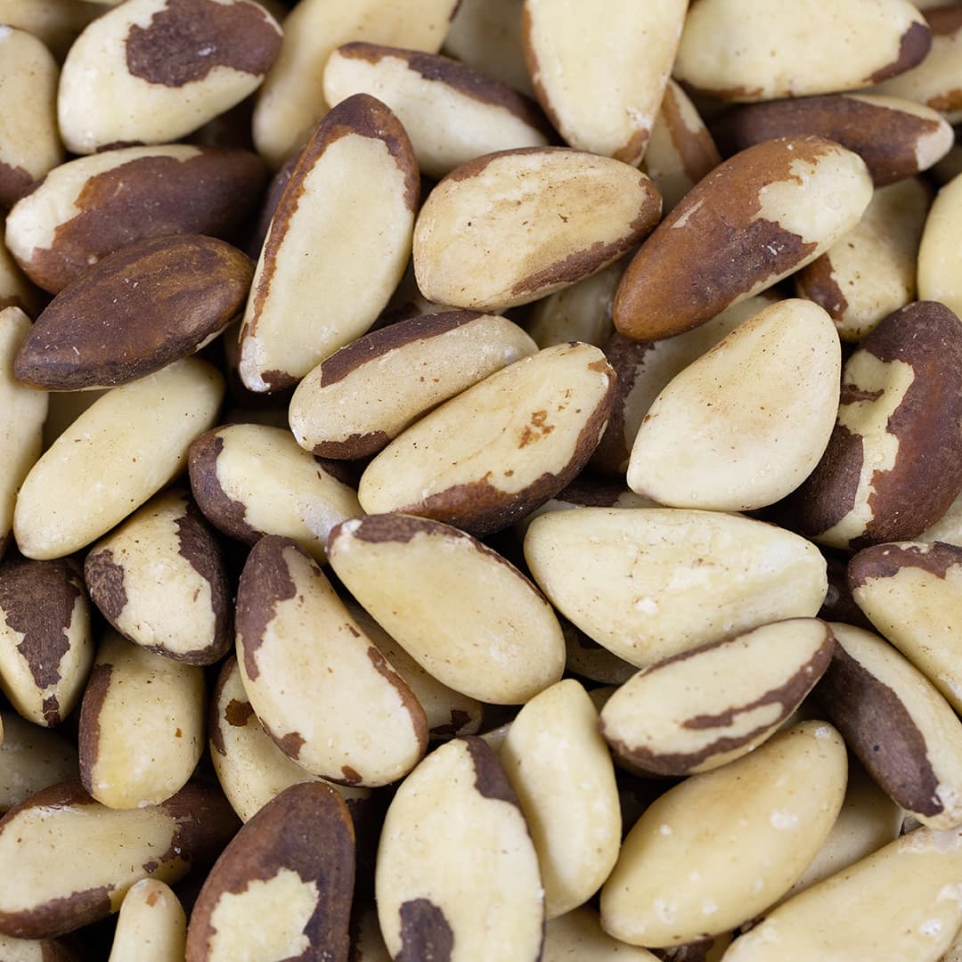 لوز برازيلي ني بزورية 2